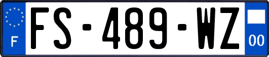 FS-489-WZ