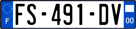 FS-491-DV