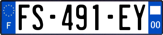 FS-491-EY