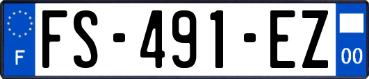 FS-491-EZ