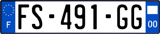 FS-491-GG
