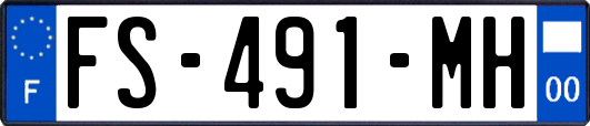 FS-491-MH