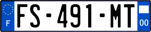 FS-491-MT