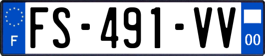 FS-491-VV