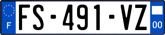 FS-491-VZ
