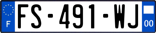 FS-491-WJ