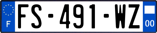 FS-491-WZ