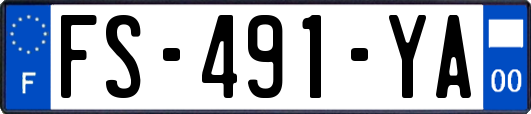FS-491-YA