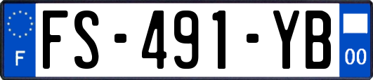 FS-491-YB