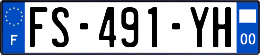 FS-491-YH