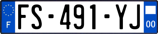 FS-491-YJ