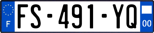FS-491-YQ