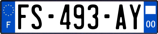 FS-493-AY