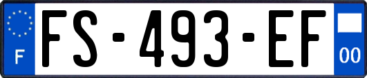 FS-493-EF