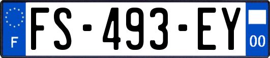 FS-493-EY