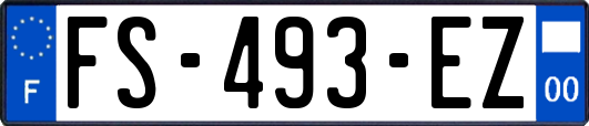 FS-493-EZ