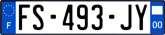 FS-493-JY