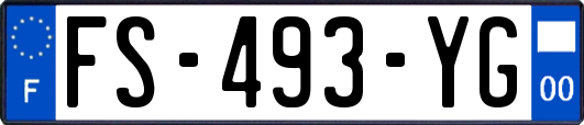 FS-493-YG