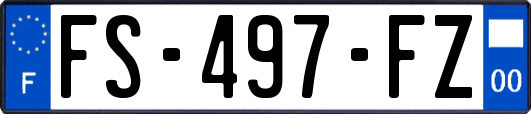 FS-497-FZ