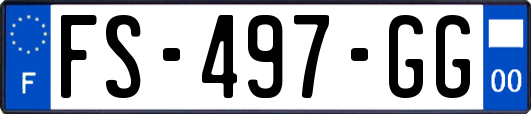 FS-497-GG