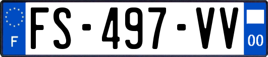 FS-497-VV
