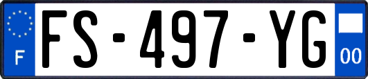 FS-497-YG