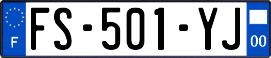 FS-501-YJ