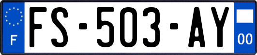 FS-503-AY