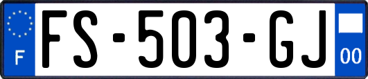 FS-503-GJ