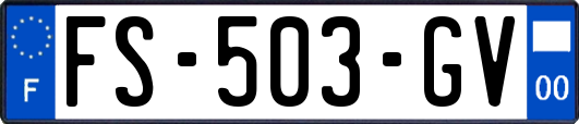 FS-503-GV