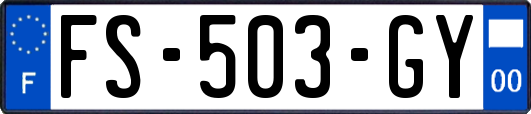 FS-503-GY