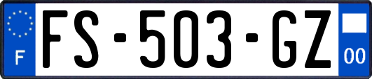 FS-503-GZ