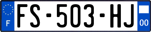 FS-503-HJ