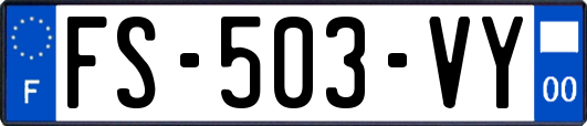 FS-503-VY