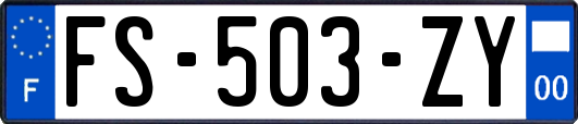 FS-503-ZY