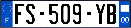 FS-509-YB