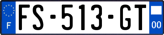 FS-513-GT