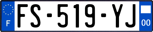 FS-519-YJ