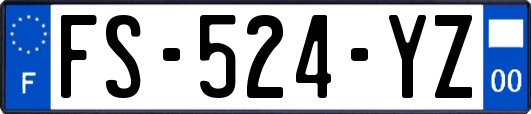 FS-524-YZ