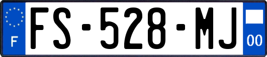FS-528-MJ