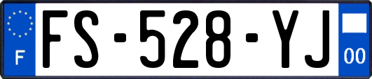 FS-528-YJ