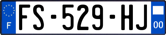 FS-529-HJ