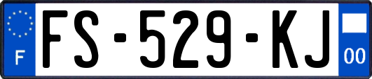 FS-529-KJ