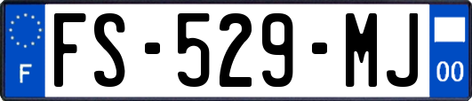 FS-529-MJ