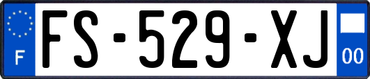 FS-529-XJ