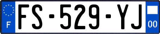 FS-529-YJ