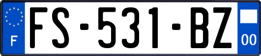 FS-531-BZ