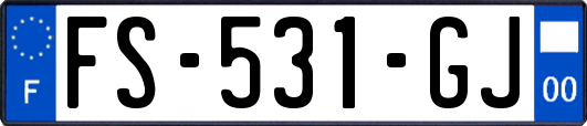 FS-531-GJ