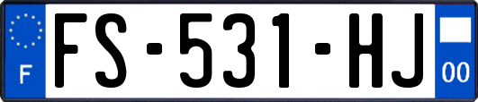 FS-531-HJ