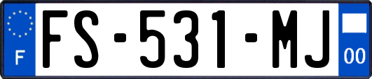 FS-531-MJ